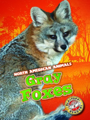 cover image of Gray Foxes